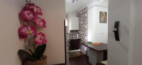 Cirilla Home Szombathely